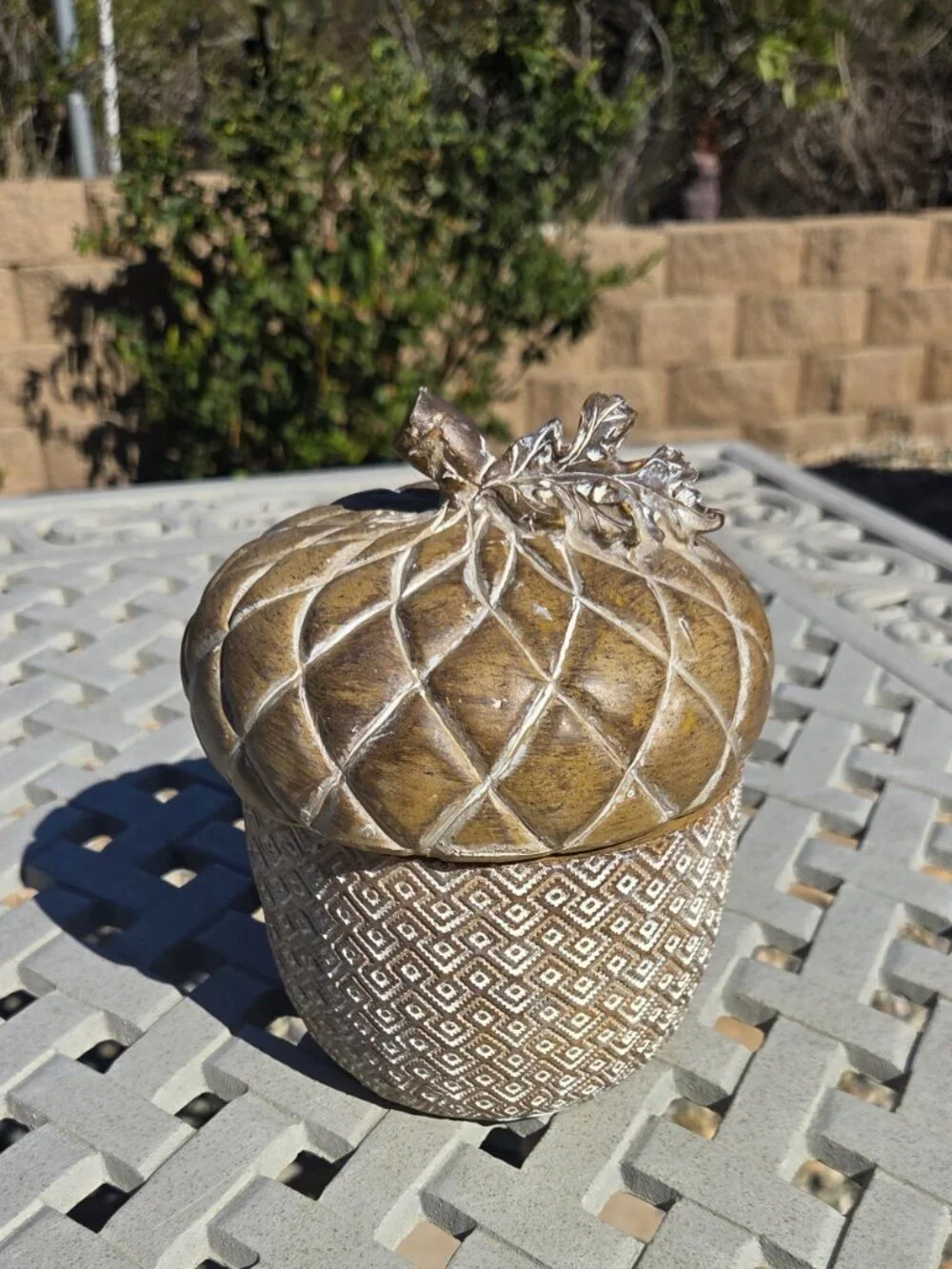 N/A large acorn